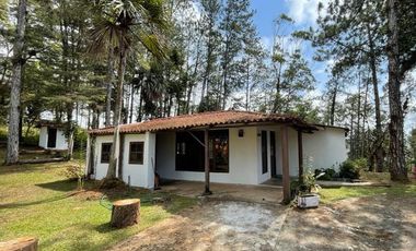 Venta terreno con cabaña en Altos de Cerro Azul, Chilibre