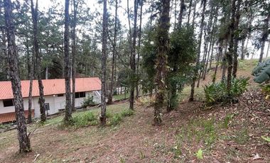 Venta terreno con cabaña en Altos de Cerro Azul, Chilibre