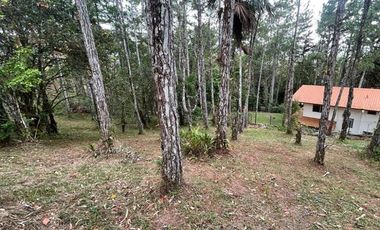 Venta terreno con cabaña en Altos de Cerro Azul, Chilibre