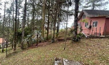 Venta terreno con cabaña en Altos de Cerro Azul, Chilibre