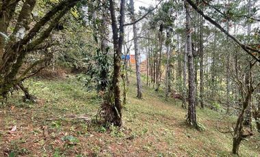 Venta terreno con cabaña en Altos de Cerro Azul, Chilibre