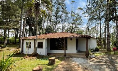 Venta terreno con cabaña en Altos de Cerro Azul, Chilibre