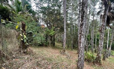 Venta terreno con cabaña en Altos de Cerro Azul, Chilibre