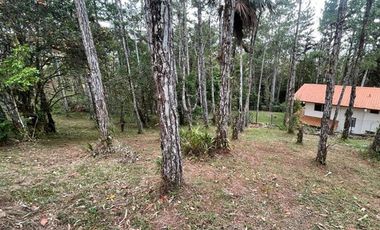 Venta terreno con cabaña en Altos de Cerro Azul, Chilibre