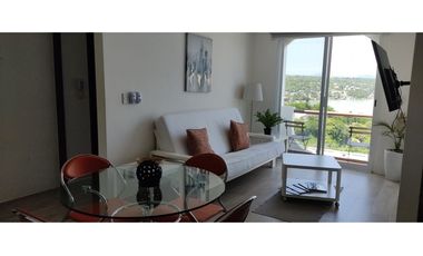 DEPARTAMENTO EN RENTA 