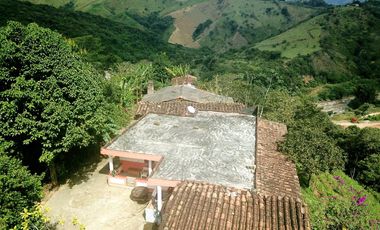 LOTE DE OPORTUNIDAD CERCA BARBOSA EN MEDIO DE LA DOBLE CALZADA NUEVA Y LA CARRETERA VIEJA A PORCE