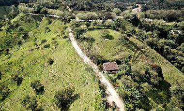 LOTE DE OPORTUNIDAD CERCA BARBOSA EN MEDIO DE LA DOBLE CALZADA NUEVA Y LA CARRETERA VIEJA A PORCE