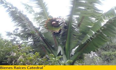 Terreno de venta en El Chorro de Girón – código:12558