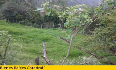 Terreno de venta en El Chorro de Girón – código:12558