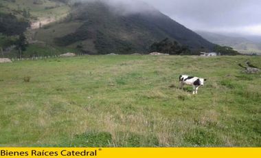 Terreno de venta en El Chorro de Girón – código:12558