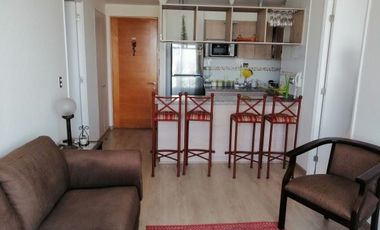 2 dormitorios 2 baños amoblado Cerro Polanco-Linda vista