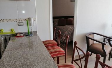 2 dormitorios 2 baños amoblado Cerro Polanco-Linda vista