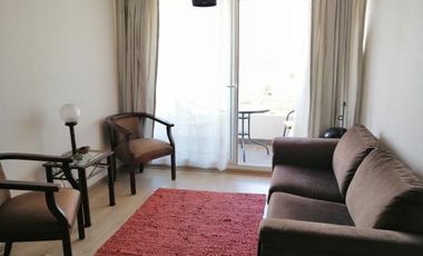 2 dormitorios 2 baños amoblado Cerro Polanco-Linda vista