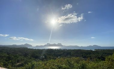 Stunning over looking land for rent and sale in El Nido
