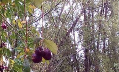 Venta de terreno en Otavalo con restaurante y espacios verdes