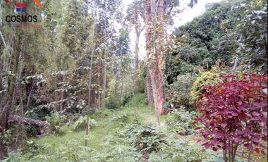 Venta de terreno en Otavalo con restaurante y espacios verdes