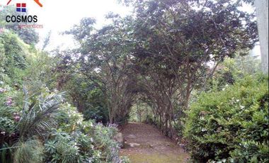 Venta de terreno en Otavalo con restaurante y espacios verdes