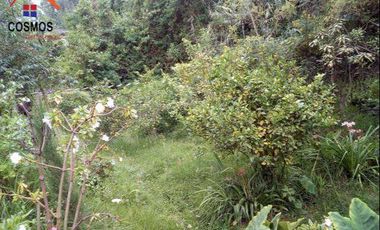 Venta de terreno en Otavalo con restaurante y espacios verdes