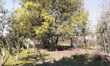 Terreno en venta en Punilla, Ñiquén