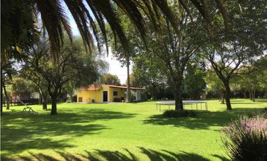 TERRENO  EN RENTA AEROPUERTO