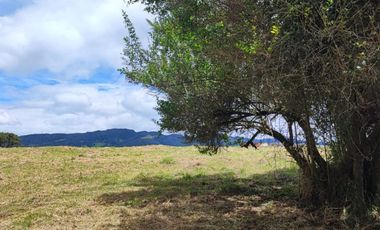 lote en venta en la calera. Cod V13212