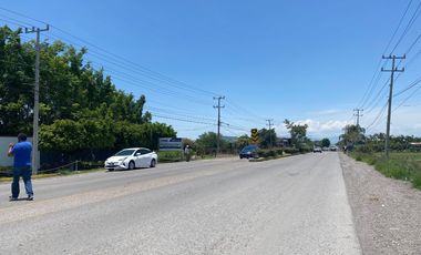 Tezoyuca comercial