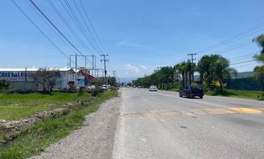 Tezoyuca comercial