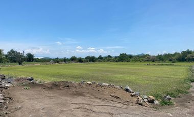 Tezoyuca comercial