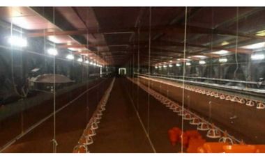 VENDO GRANJA AGRCOLA EN LA CHORRERA SANTA RITA 4 HECTREAS