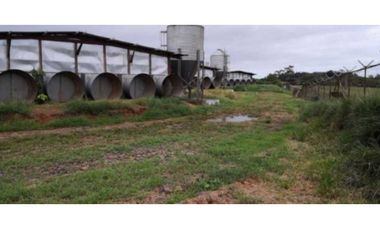 VENDO GRANJA AGRCOLA EN LA CHORRERA SANTA RITA 4 HECTREAS