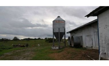 VENDO GRANJA AGRCOLA EN LA CHORRERA SANTA RITA 4 HECTREAS