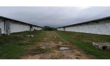 VENDO GRANJA AGRCOLA EN LA CHORRERA SANTA RITA 4 HECTREAS