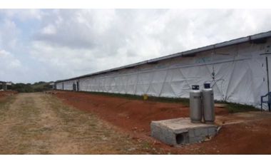 VENDO GRANJA AGRCOLA EN LA CHORRERA SANTA RITA 4 HECTREAS