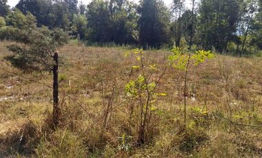 Venta de Rancho en Zitacuaro 5 Haz. a bordo de carretera a 5 min. de la ciudad