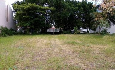 TERRENO EN RENTA EN AVENIDA CASTELLOT EN CIUDAD DEL CARMEN