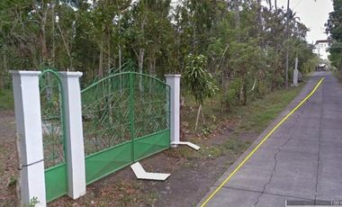 41,926 SQM AGRICULTURAL LOT GOOD FOR MANUFACTURING