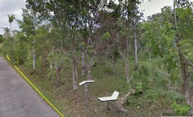 41,926 SQM AGRICULTURAL LOT GOOD FOR MANUFACTURING