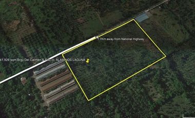 41,926 SQM AGRICULTURAL LOT GOOD FOR MANUFACTURING