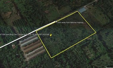 41,926 SQM AGRICULTURAL LOT GOOD FOR MANUFACTURING