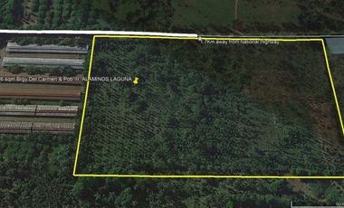 41,926 SQM AGRICULTURAL LOT GOOD FOR MANUFACTURING