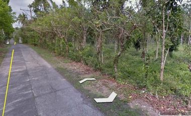 41,926 SQM AGRICULTURAL LOT GOOD FOR MANUFACTURING
