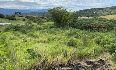 VENTA de FINCAS en GARZON