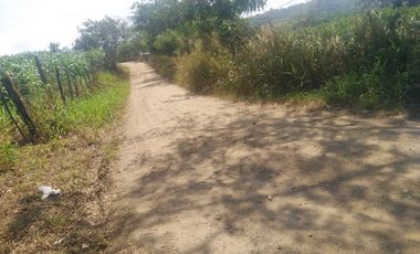 VENTA de FINCAS en GARZON