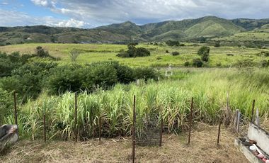 VENTA de FINCAS en GARZON