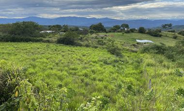 VENTA de FINCAS en GARZON