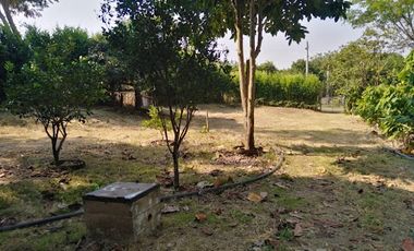 VENTA de FINCAS en GARZON