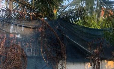 Casa en venta en Sarandi Este