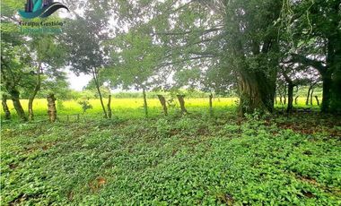 COCHEA ARRIBA, FINCA EN VENTA