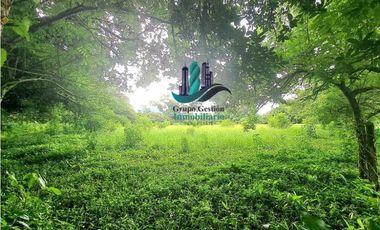 COCHEA ARRIBA, FINCA EN VENTA