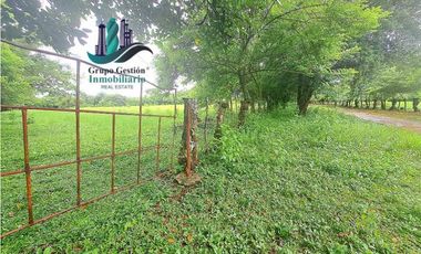 COCHEA ARRIBA, FINCA EN VENTA